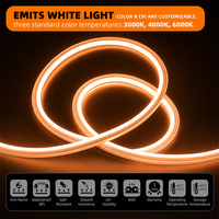 LFB1616-2 Tira de Luces LED de Silicona Flexible, Cortable, Impermeable IP66, 24V CC, Luces de Neón para Exteriores, Paisajes y Puentes