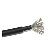 Cable de Alimentación de CC para Panel Solar Fotovoltaico Industrial de Alto Voltaje 1kV IP65, Aislado XLPO, Cobre Estañado, Directo de Fábrica