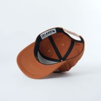 Op maat gemaakte geborduurde, hoogwaardige, gestructureerde Oxford katoenen canvas promotie souvenir baseballpet met stippenpatroon