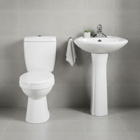 Ensemble WC moderne en céramique deux pièces, à évacuation en S, double chasse, auto-nettoyant, émaillé, allongé, à poser au sol pour salle de bain