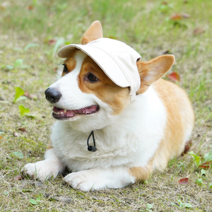 Gorra de béisbol de mezclilla de algodón para perros y gatos, sombrero para el sol para todas las estaciones, estilo que deja las orejas al descubierto - Product Image 2
