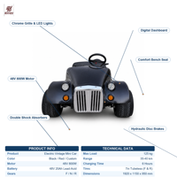 Voiture miniature de loisirs vintage avec freins à disque hydrauliques et double amortisseurs, essence ou électrique, usine OEM CE