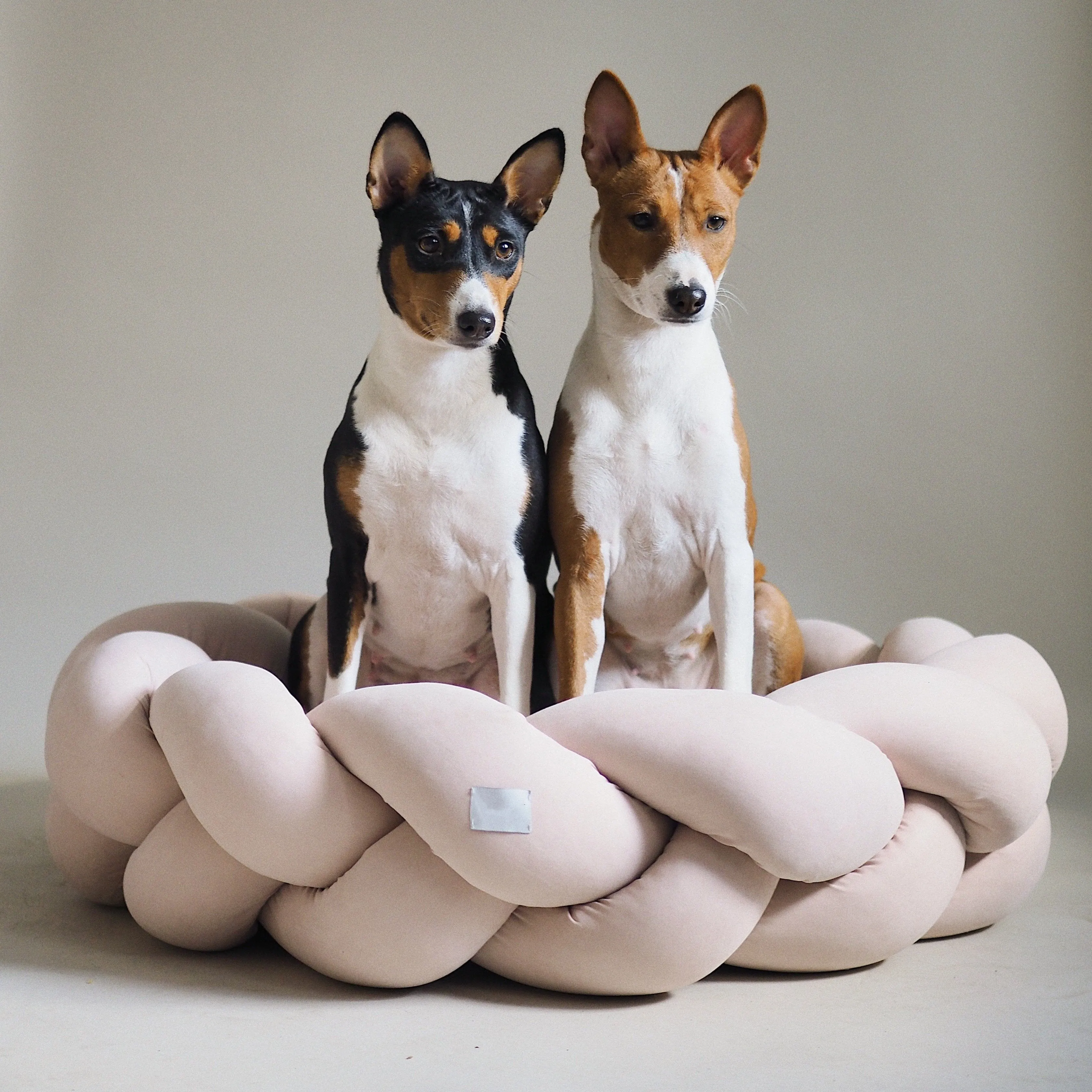 Canapé de luxe lit pour animaux de compagnie amovible confortable rond Double face accessoires respirant chien canapé-lit chien nid grand Rectangle lits pour animaux de compagnie
