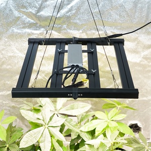 Luz LED de Cultivo para Plantas, Espectro Completo Azul y Rojo, IP65, Hidropónica, Disponible en Plantas de la UE, Barra de Luz de Cultivo Azul y Roja de 240W, desde China - Product Image 3