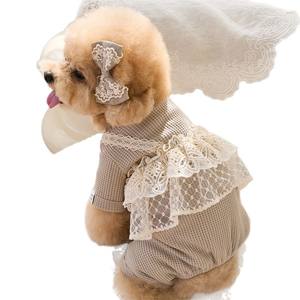Ropa para Mascotas de Primavera y Verano 2025, Diseño de Gato con Encaje, Cuatro Patas, para Perros Pequeños, Teddy, Pomerania - Product Image 5