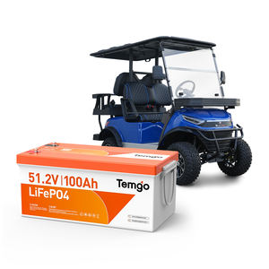 Temgo 48V 100Ah Deep Cycle LiFePO4 Batterie mit Intelligenter Auto-Balancing 200A BMS für Golfcarts und AGV - Product Image 1