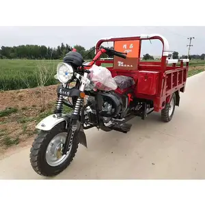 Tricycle à moteur à essence 1750cc 200cc 300cc Extracteur de moteur refroidi à l'eau Tricycle de fret agricole Moto cargo