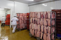 Chambre froide automatique pour viande avec moteur et boîte de vitesses -18~-25°C - Conservation écologique du bœuf, du porc et du poulet congelés