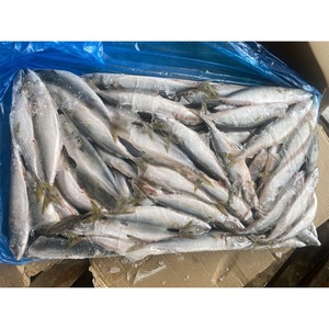 Biologische diepvries Pacifische makreel vis importeurs te koop. Koop hele DOMINE variëteiten in bulk kartonnen dozen van 10 kg. - Product Image 5