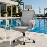 Chaise de bureau ergonomique avec soutien lombaire, hauteur réglable, fonction pivotante - Design minimaliste moderne, matériau en maille