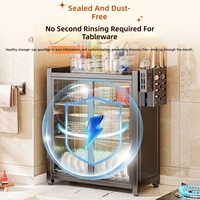 Organisateur d'armoire de cuisine 2 niveaux en acier carbone noir, égouttoir à vaisselle domestique, boîte de rangement anti-poussière pour baguettes et assiettes sur comptoir