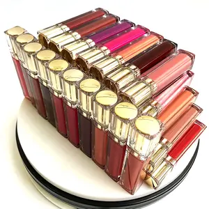 OEM ODM lipgloss ट्यूब कस्टम लोगो बॉक्स चाबी का गुच्छा के साथ 55 रंग चमक गुलाब सोने plumping शाकाहारी lipgloss