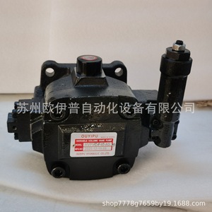 ปั๊มไฮดรอลิกแบบใบพัด Ouyipu Hvpvc F40 A5 ปรับอัตราการไหลได้ หมุนแนวนอน ความจุ 80 ลิตร - Product Image 3