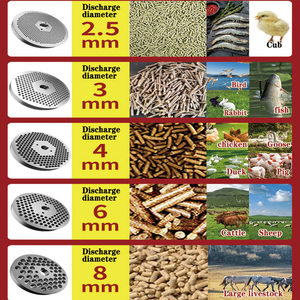 Molino de Pellets para Alimento <span class=keywords><strong>Animal</strong></span> de Alta Productividad, 200 kg/h, Pequeño, Nuevo, Diésel, Máquina para Hacer Alimento para Pollos, Piezas de Paletizadora de Alimento <span class=keywords><strong>Animal</strong></span> - Product Image 6