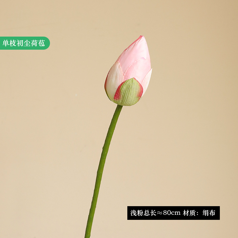 Polvo ligero de capullo de loto