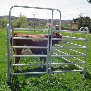 Fabrik preis heißer Verkauf tragbare verzinkte Metall Stahlrohr Pferd Corral Zaun Paneele für Rinder