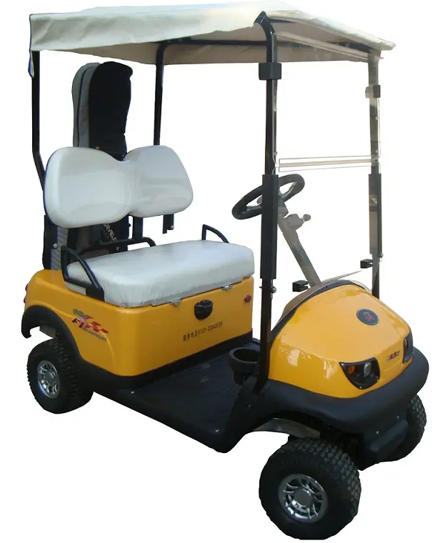 Mini voiturettes de golf à moteur pas cher 2 places voiture électrique avec moteur 36V1200W et CE approuvé