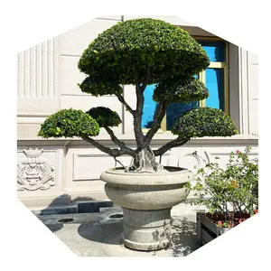 중국 정원 천연석 라운드 분재 그릇 펜징 아트 마이크로 화분 풍경 대형 화분 재배자