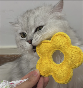 Milieuvriendelijk Handgemaakt <span class=keywords><strong>Catnip</strong></span> Loofa Speelgoed Interactief Kauwspeelgoed Voor Kitten Tanden Reinigingsset Van <span class=keywords><strong>2</strong></span> Stuks - Product Image 3