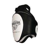 Sanda Fitness : Cible de pied MMA Taekwondo en promotion pour la gym et le sport