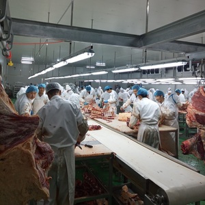 150 cabezas por día de ganado línea de sacrificio - Product Image 4