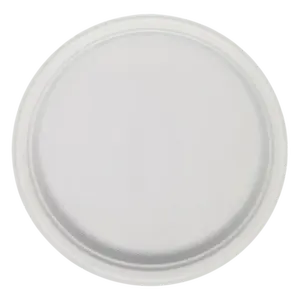 Custom Service Sugarcane Bagasse Compostable Biodegradable Eco Friendly Disposable Round Plate 5 6 7 8 9inch 10 Inch