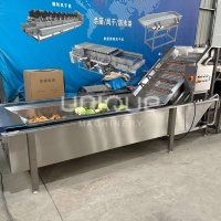 Zibo Unieke Groente-, Vlees- en Fruitwasmachine