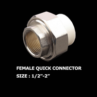 Raccords de tuyauterie Union PPR adaptateur femelle connecteur en cuivre plomberie produit Compression filetage en laiton personnalisable