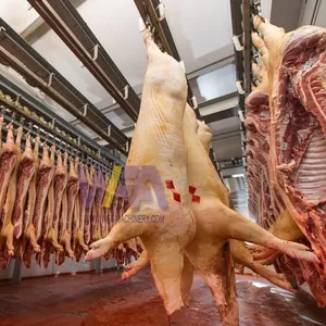 Equipo completo de matadero de 50 cerdos por turno Planta de procesamiento de carne y matadero de cerdos para matadero de cerdas