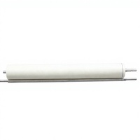 Rouleau de nettoyage Ricoh AE04-5099 (en métal) 100 % compatible pour copieurs Ricoh MP4000/4001/4002/5000B/5001/5002 - Pièce de rechange pour copieur