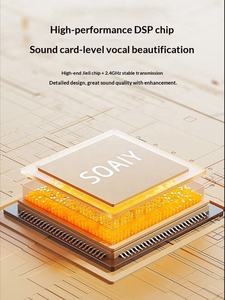 Bestverkochte alles-<span class=keywords><strong>in</strong></span>-één karaoke-<span class=keywords><strong>speaker</strong></span> met ingebouwde microfoon voor draadloze RGB LED-verlichting, draagbaar voor buitengebruik, 200-500mAh - Product Image 3