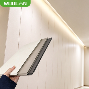 Pannello Murale in PVC Resistente agli Urti, Facile da Pulire, Lastra in Plastica per Corridoi Ospedalieri - Product Image 1