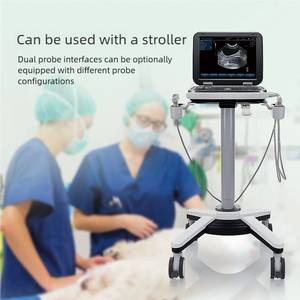 Kleur Doppler Power Doppler Gepulseerde Doppler Dierenarts Huisdierspecifieke Draagbare Ultrasone Detector Veterinaire Apparatuur Ce Gecertificeerde Klasse - Product Image 4