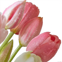 Tulipes artificielles hydratantes au toucher réel, bouquet de fleurs en soie à 5 têtes, tulipes en latex souple pour la décoration de mariage et de table à la maison