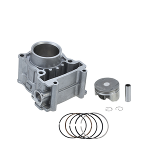 Unità di Eccitazione per Motore di Motocicletta 55p 5yp <span class=keywords><strong>Lc135</strong></span> 54mm di Produzione Cinese per Serie - Product Image 1