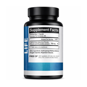 ใบคาลันโชเอะ พินนาตา (bryophyllum Pinnatum) ใหม่ 60 แคปซูล 750 มก. อาหารเสริมเกรดอาหารเพื่อสุขภาพ แบรนด์ OEM อายุการเก็บรักษา 2 ปี - Product Image 2