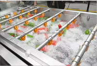 Industriële Automatische Bubbel Wasmachine Voor Fruit/Groente/Zeevruchten Aardappel Wortel Dadels Vis Garnaal Reinigingsapparatuur