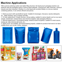 Machine d'emballage automatique pour sachets irréguliers de boissons énergisantes et de gels énergétiques