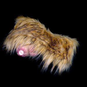 Muñeca de masturbación de animales de fantasía sexual, muñeca de peluche <span class=keywords><strong>Vaginal</strong></span>/anal realista para 18 +, herramientas de masturbación de <span class=keywords><strong>doble</strong></span> penetración, Vagina masculina - Product Image 2