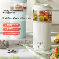 Bouilloire Électrique Portable 300W en Acier Inoxydable 304, 500ml, 6 Modes de Température, Ébullition Rapide en 8 Min, Protection Anti-Ébullition à Sec, Commande Tactile, Utilisation Maison et Voyage