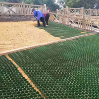 Grille en gazon pour le stationnement des voitures, la voie d'accès aux pompiers et le renforcement des allées, pavés en plastique HDPE perméables pour le renforcement du sol