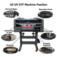 Fournir un support technique imprimante d'autocollants UV DTF avec rouleau de laminage à rouleau avec 2 têtes d'impression xp600 Machine d'impression de film A/B