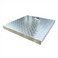 Couvercle de manhole hydraulique décoratif extérieur en acier inoxydable 304 avec poignée et serrure pour travaux paysagers