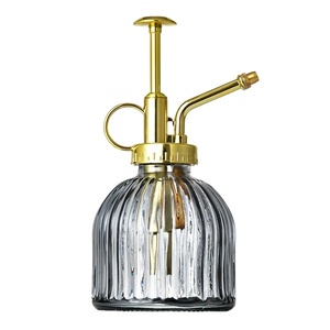 Vente en gros de plantes en vente chaude brumisateur en verre pour plantes Mini pulvérisateur arrosoir en verre pour citrouilles - Product Image 1