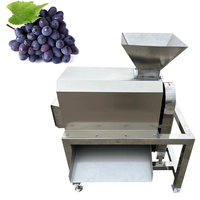 Machine à pulper les fruits certifiée CE 1000 kg/h pour la fabrication de sauce à la mangue et à la tomate