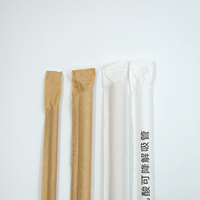 Pailles à boire biodégradables 100% PLA, pailles écologiques compostables pour boissons froides, pailles emballées individuellement
