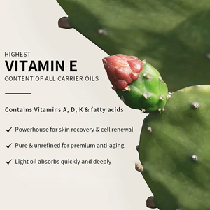 Huile de cactus pressée à froid au meilleur prix, extrait végétal pur et naturel, huile capillaire pour l'hydratation et la brillance quotidiennes des cheveux, huile de soin capillaire aux graines - Product Image 4