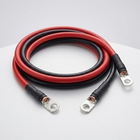 Harnais de câblage de batterie personnalisable 25 mm avec cosses SC en cuivre étamé (Classe 5/6) et isolation XLPO/Silicone/PVC pour modules solaires BESS