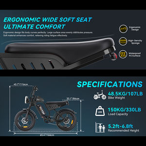 Fabricante Directo de Bicicletas Eléctricas ODM OEM, Motor Trasero de 4000W, 7 Velocidades, Batería de Litio - Product Image 3