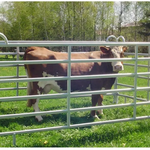 Mạ kẽm 6ft 12ft nhiệm vụ nặng nề sử dụng kim loại ngựa hàng rào tấm/vòng bút tấm chăn nuôi gia súc tấm/ngựa corral tấm - Product Image 4